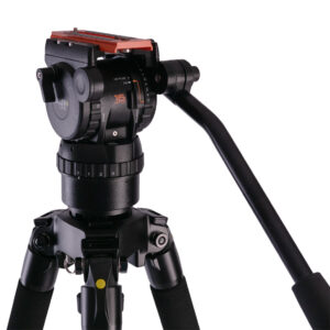 Cinx 20 back